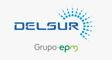 DelSur Color